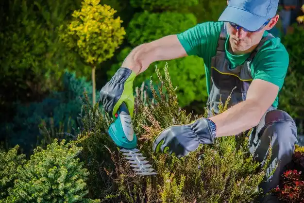 landscaping services Manorville
